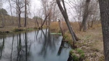 Dar bir nehri olan manzara. Sudaki yansıma. Nehir kıyısında.