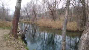 Dar bir nehri olan manzara. Sudaki yansıma. Nehir kıyısında.