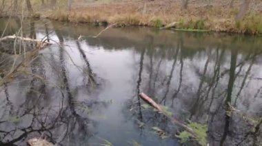 Dar bir nehri olan manzara. Sudaki yansıma. Nehir kıyısında.