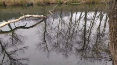 Dar bir nehri olan manzara. Sudaki yansıma. Nehir kıyısında.