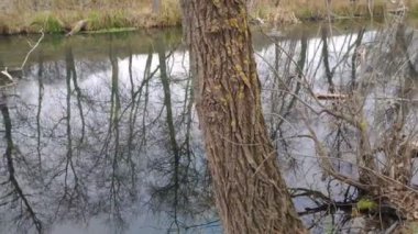 Dar bir nehri olan manzara. Sudaki yansıma. Nehir kıyısında.