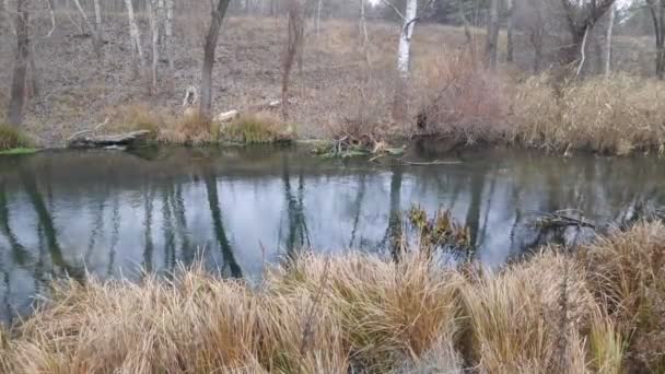 paysage avec une rivière étroite. réflexion dans l'eau. La rive de la rivière 
