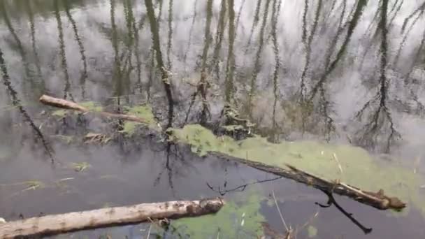 Landschaft Mit Einem Schmalen Fluss Reflexion Wasser Ufer Des Flusses — Stockvideo