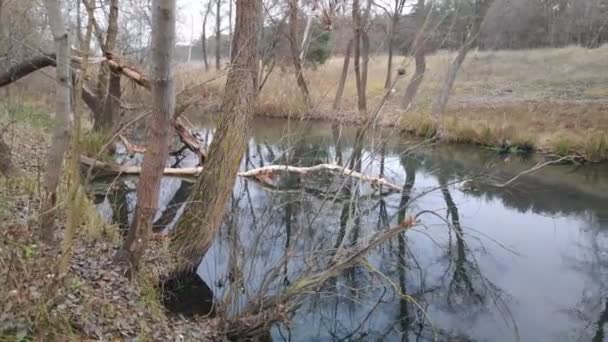 paysage avec une rivière étroite. réflexion dans l'eau. La rive de la rivière 