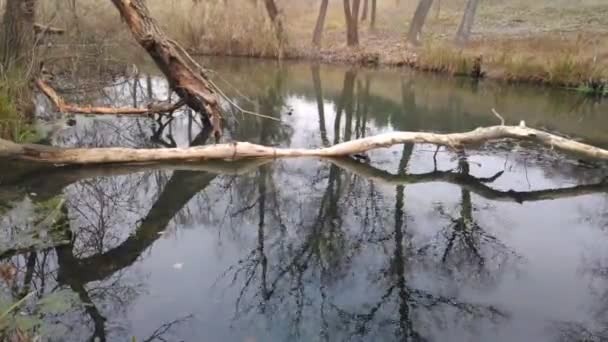 paysage avec une rivière étroite. réflexion dans l'eau. La rive de la rivière 