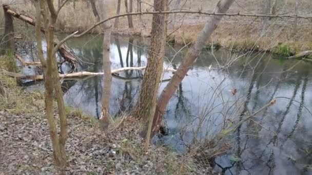 paysage avec une rivière étroite. réflexion dans l'eau. La rive de la rivière 