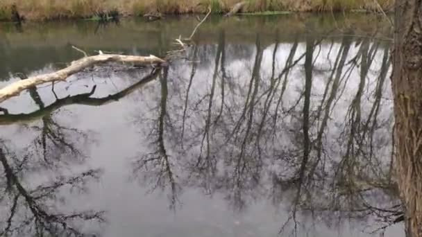 paysage avec une rivière étroite. réflexion dans l'eau. La rive de la rivière 