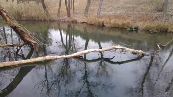 paysage avec une rivière étroite. réflexion dans l'eau. La rive de la rivière 