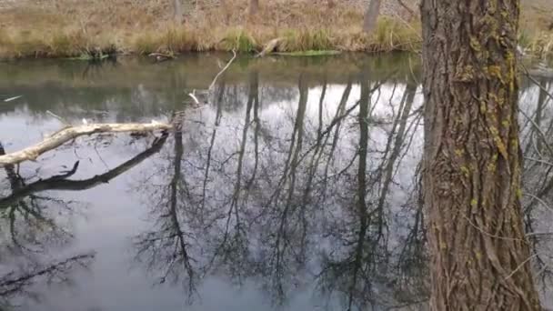 paysage avec une rivière étroite. réflexion dans l'eau. La rive de la rivière 