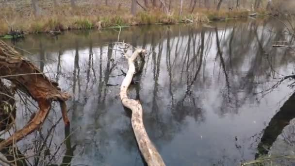 paysage avec une rivière étroite. réflexion dans l'eau. La rive de la rivière 