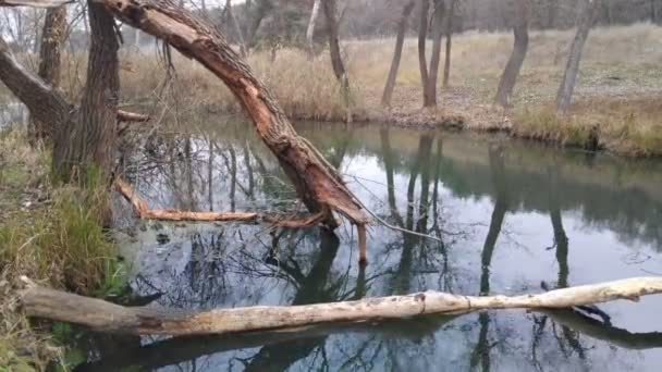 Landschaft Mit Einem Schmalen Fluss Reflexion Wasser Ufer Des Flusses — Stockvideo