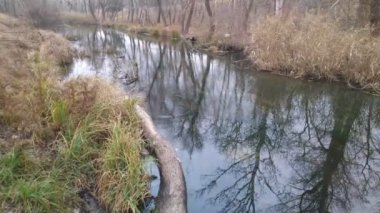 Dar bir nehri olan manzara. Sudaki yansıma. Nehir kıyısında.