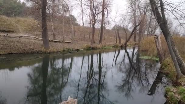 Landskap Med Smal Flod Reflektion Vatten Flodens Strand — Stockvideo