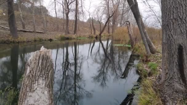 paysage avec une rivière étroite. réflexion dans l'eau. La rive de la rivière 