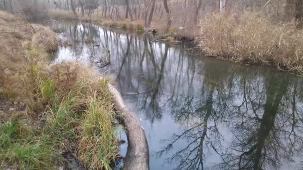 paysage avec une rivière étroite. réflexion dans l'eau. La rive de la rivière 