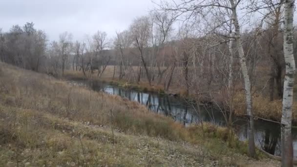 Landschap Met Een Smalle Rivier Reflectie Water Oever Van Rivier — Stockvideo