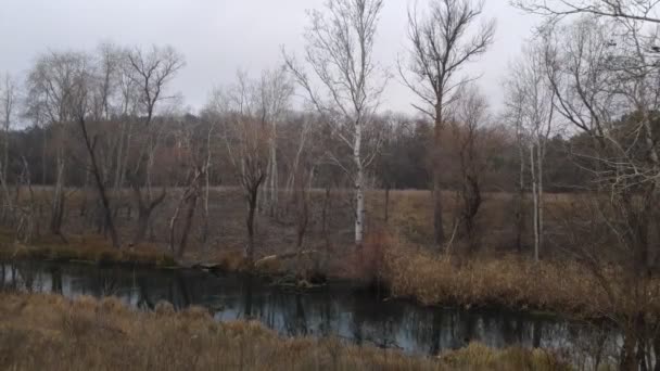 Dar Bir Nehri Olan Manzara Sudaki Yansıma Nehir Kıyısında — Stok video