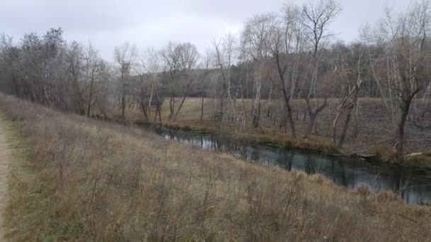 Landschaft Mit Einem Schmalen Fluss Reflexion Wasser Ufer Des Flusses — Stockvideo