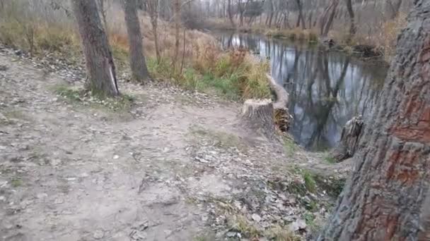 paysage avec une rivière étroite. réflexion dans l'eau. La rive de la rivière 