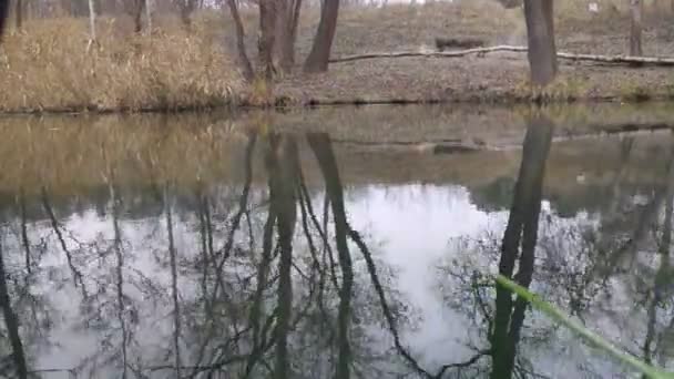 paysage avec une rivière étroite. réflexion dans l'eau. La rive de la rivière 