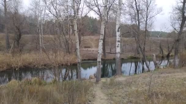 paysage avec une rivière étroite. réflexion dans l'eau. La rive de la rivière 