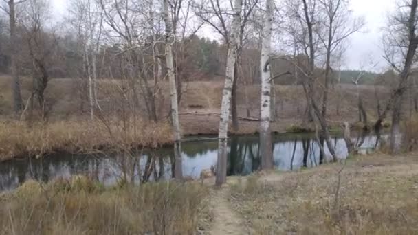 Пейзаж Узкой Рекой Отражение Воде Берег Реки — стоковое видео