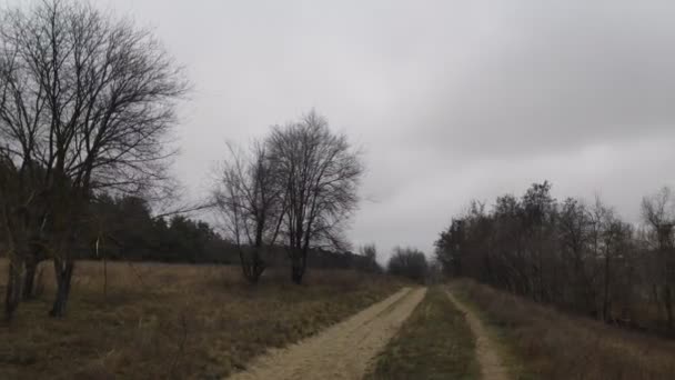 Route Forestière Est Pas Une Voiture Forêt Pins Temps Nuageux — Video
