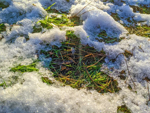 Grönt Gräs Snön — Stockfoto