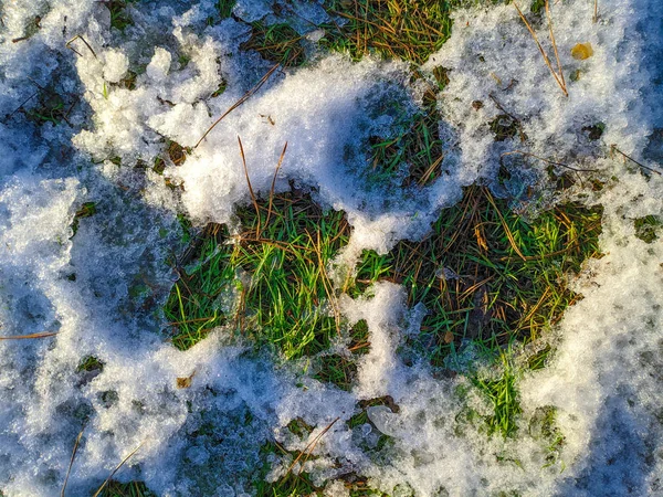 雪の中の緑の芝生 — ストック写真