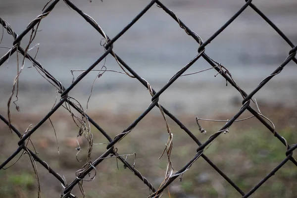 Çit Örgüsü Metal Şebeke Paslı Kablo — Stok fotoğraf