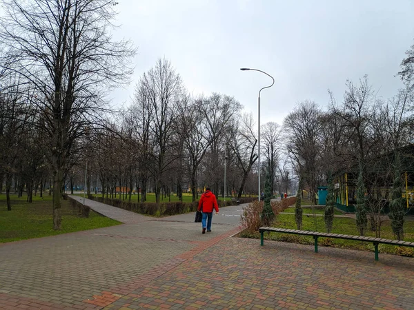 Chodníky Stezky Parku Městský Park Oblačného Počasí — Stock fotografie