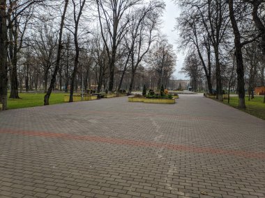 Parktaki kaldırımlar ve patikalar. Bulutlu havada şehir parkı