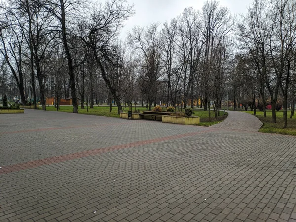 Marciapiedi Sentieri Nel Parco Parco Della Città Tempo Nuvoloso — Foto Stock