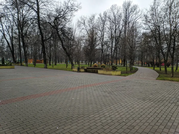 Trottoirs Paden Het Park Stadspark Bij Bewolkt Weer — Stockfoto