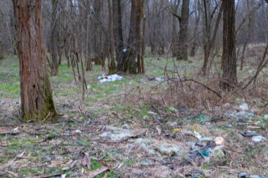 Doğanın kirliliği. Ekolojik sorunlar. Ormandaki çöpler