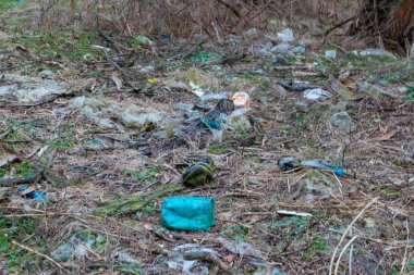 Doğanın kirliliği. Ekolojik sorunlar. Ormandaki çöpler