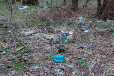 Doğanın kirliliği. Ekolojik sorunlar. Ormandaki çöpler