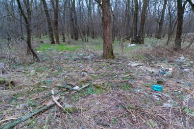 Doğanın kirliliği. Ekolojik sorunlar. Ormandaki çöpler