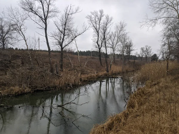 narrow river. landscape with a river and trees. river banks