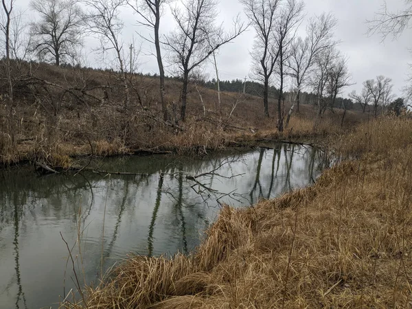 narrow river. landscape with a river and trees. river banks