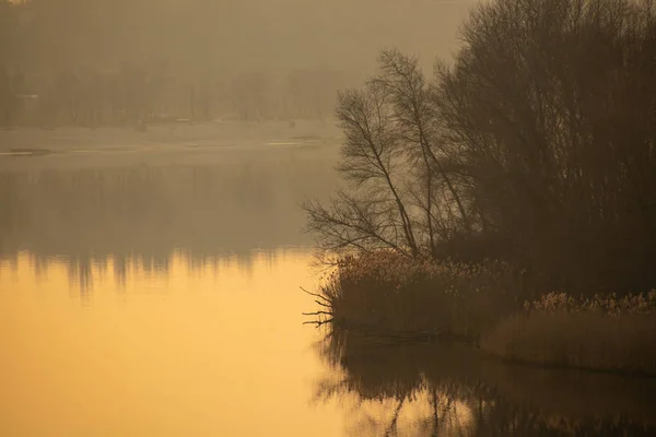 Ufer Des Flusses Schilf Land — Stockfoto