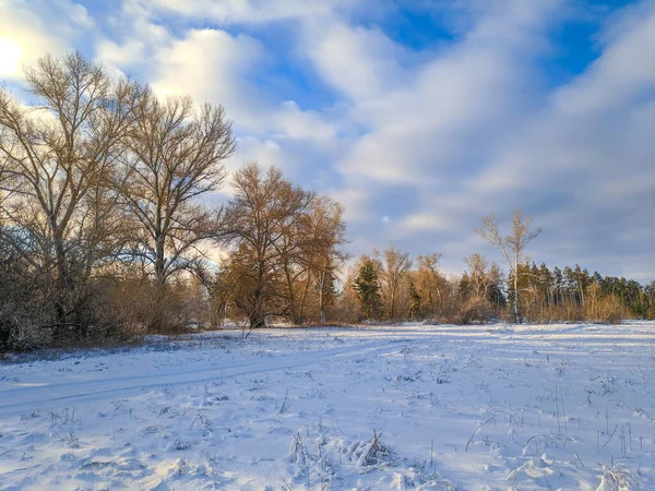 Bela Paisagem Inverno Campo Neve Floresta Paisagem Ensolarada Com Neve — Fotografia de Stock