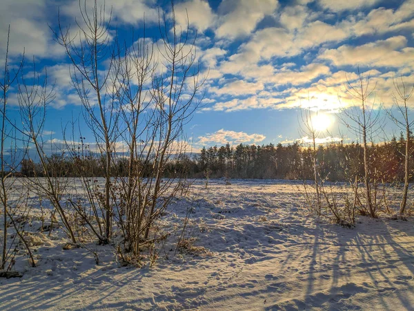 Wunderschöne Winterlandschaft Schneefeld Und Wald Sonnige Landschaft Mit Schnee — Stockfoto