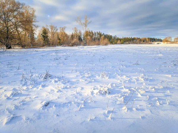 Krásná Zimní Krajina Sněhové Pole Les Slunečná Krajina Sněhem — Stock fotografie