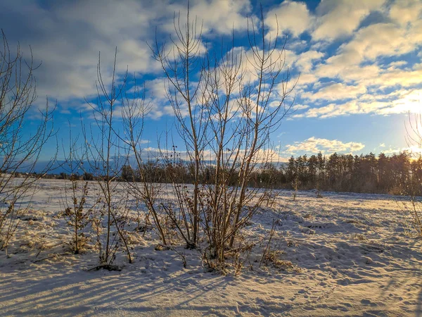 Vackert Vinterlandskap Snöfält Och Skog Soligt Landskap Med Snö — Stockfoto