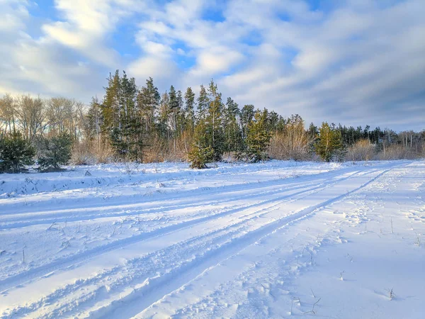 Hermoso Paisaje Invierno Campo Nieve Bosque Paisaje Soleado Con Nieve — Foto de Stock