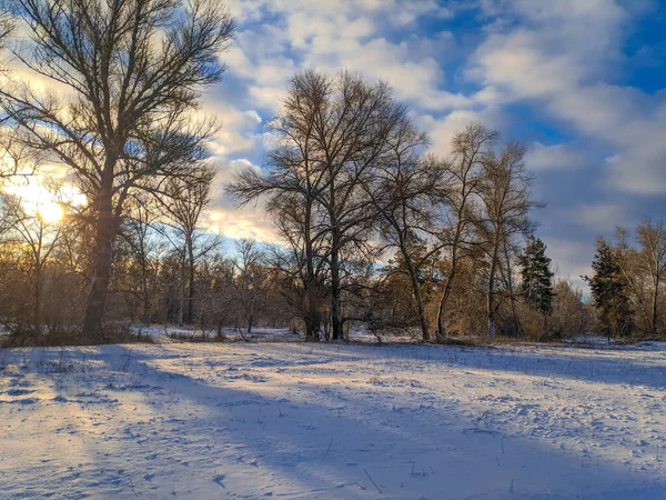 Wunderschöne Winterlandschaft Schneefeld Und Wald Sonnige Landschaft Mit Schnee — Stockfoto