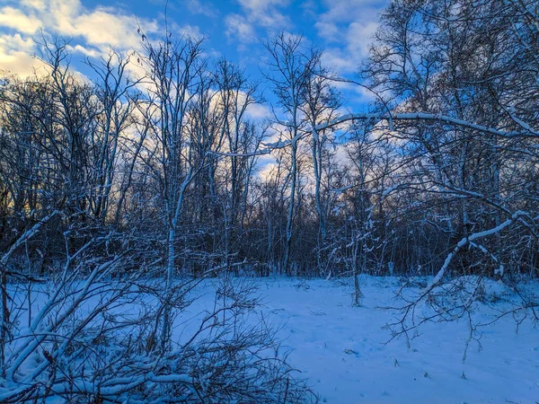 Hermoso Paisaje Invierno Campo Nieve Bosque Paisaje Soleado Con Nieve — Foto de Stock