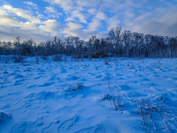 Bela Paisagem Inverno Campo Neve Floresta Paisagem Ensolarada Com Neve — Fotografia de Stock