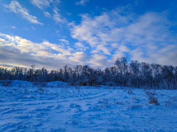 Hermoso Paisaje Invierno Campo Nieve Bosque Paisaje Soleado Con Nieve — Foto de Stock